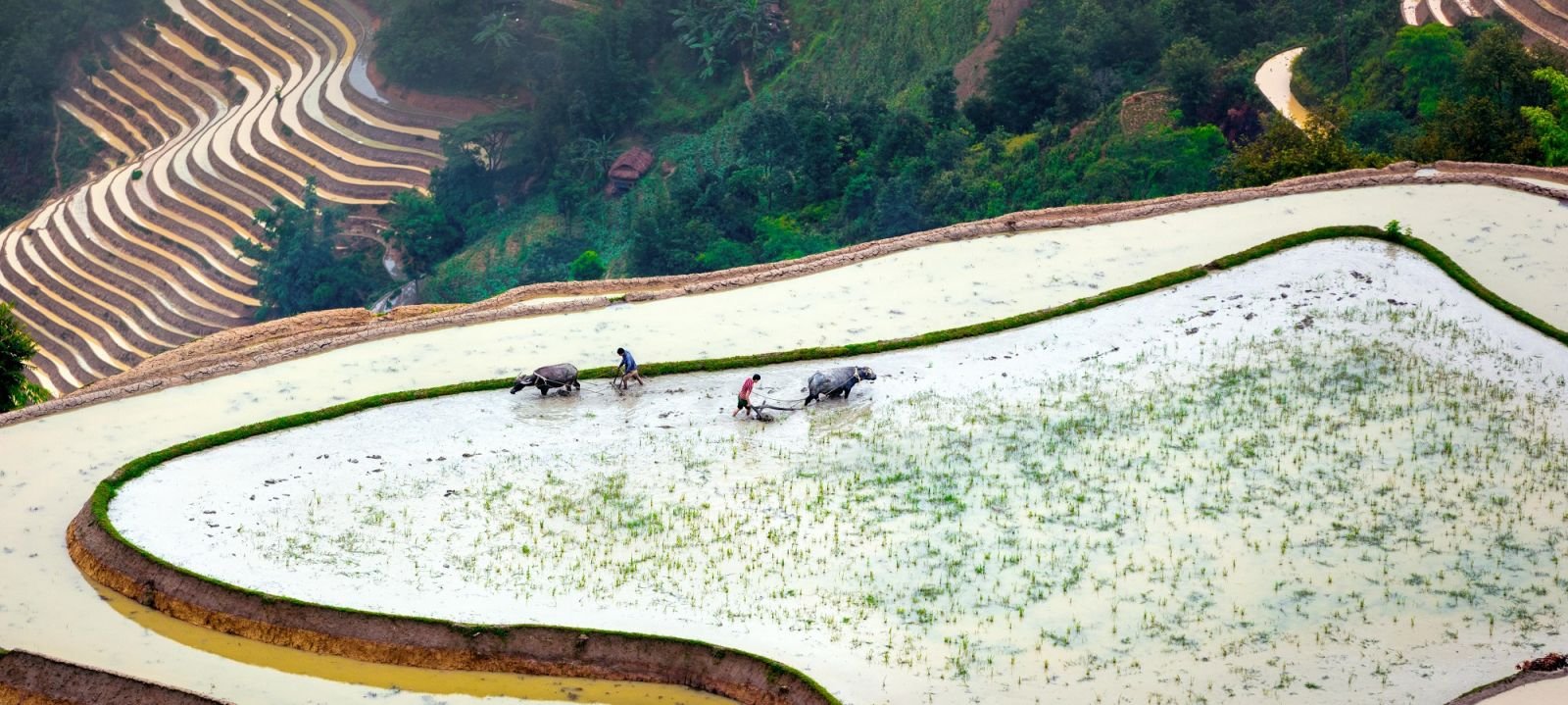 The Most Authentic Cycling Holiday in Northern Vietnam Villages: A Journey of Connection